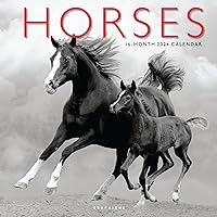 Graphique 2024 Horses Wall Calendar | 12” x 12” | Thick Paper | Home & Office Organizer | Large Monthly Grid | 3 Languages & Marked Holidays | 4 Month Preview Page for 2025