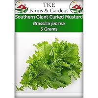 Southern Giant Curled Mustard Seeds for Planting, 5 Grams, 2000 Heirloom Seeds, Non-GMO, Packet Includes Instructions for Growing, Brassica juncea, Qty 1