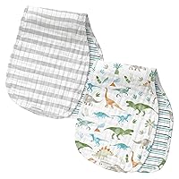 Stephen Joseph, Muslin Baby Burp Cloths, 2-Pack 100% Cotton, Burp Cloth for Baby Boys and Girls, Dino (SJ124259)