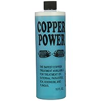 Copper Power (Endich) ACP0016B Blue Treatment for Marine Fish, 16-Ounce