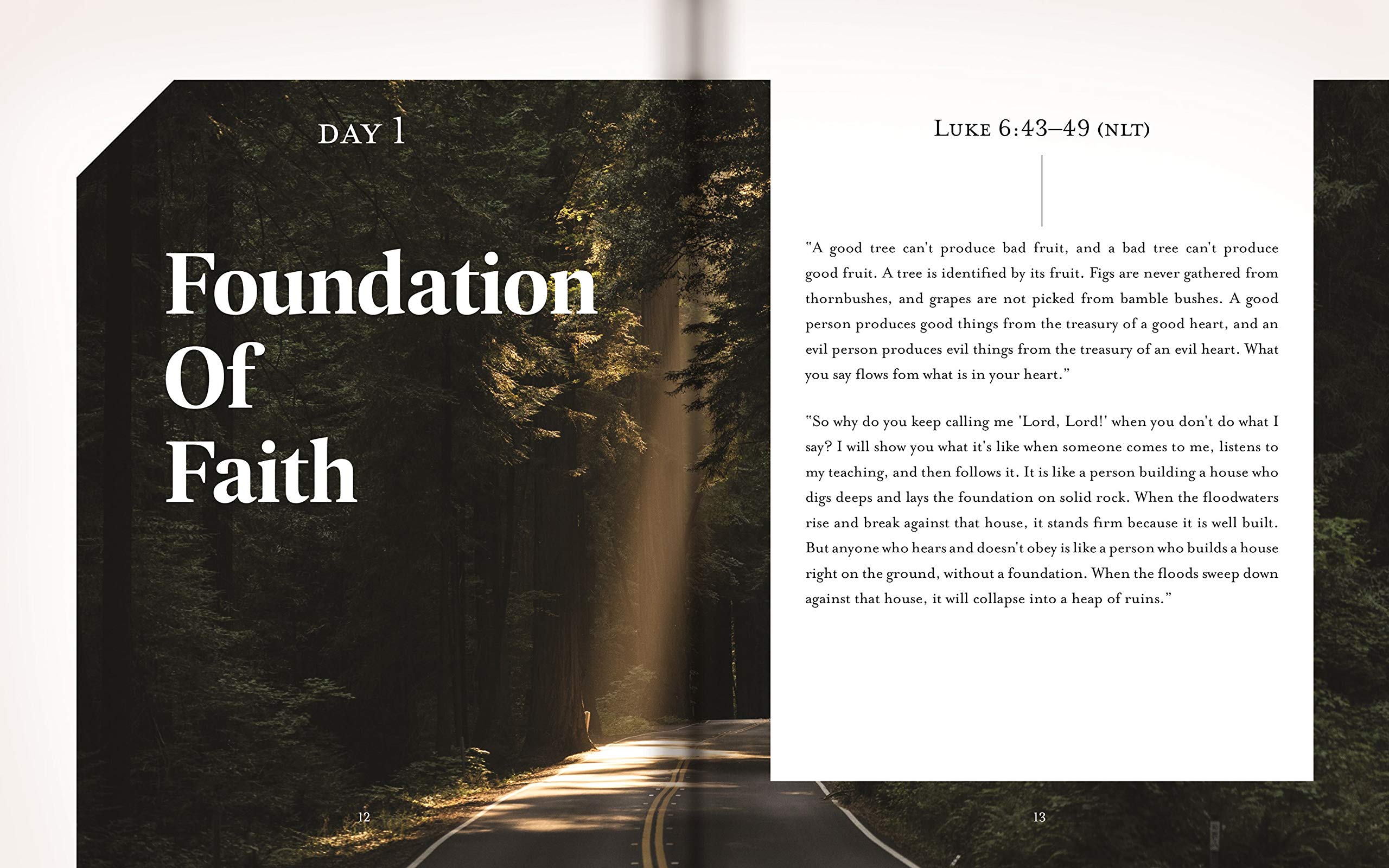 Unwavering Faith: Jesus Every Day Devotional Guide