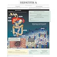 Hepatitis A e chart: Full illustrated