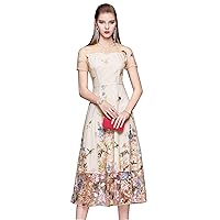Women's Summer Embroidered Floral Short Sleeve Rounded Neck Midi A line Dress