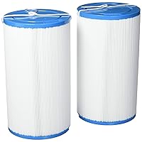 HSAK-4031-2 2 Pack-Hot Springs Freeflow Spa Replacement Filter-303279, White and Blue