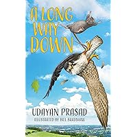 A Long Way Down: An Action-Adventure About Incredible Friends On An Amazing Journey
