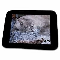 3dRose Cute Sleeping Grey White Siamese Cat Photo - Dish Drying Mats (ddm-242444-1)