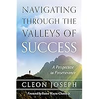 Navigating Through the Valleys of Success: A Perspective in Perseverance