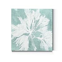 Renditions Gallery Square Canvas Wall Art: Contemporary Coastal Beach, Neutral Nature, Modern Fractial Floral, Multi Color Flower Abstract Wall Art for Home & Office - Seaweed on Aqua VI 32X32