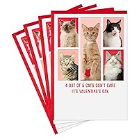 Hallmark Shoebox Pack of 4 Funny Valentines Day Cards for Friends or Family (Cats Don't Care)
