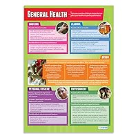 Daydream Education General Health | PE Posters | Laminated Gloss Paper measuring 33” x 23.5” | Physical Education Charts for the Classroom | Education Charts