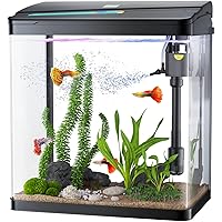 Fish Tank, 3 Gallon Glass Aquarium, 3 in 1 Fish Tank with Filter and Light, Desktop Small Fish Tank for Betta Fish, Shrimp, Goldfish (Black, 3Gallon)
