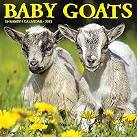 Baby Goats 2023 Wall Calendar