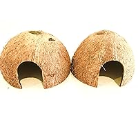 Hexagrowth Coco Hut, Betta Fish cave, Shrimp Hideout, Pleco shelter, Coconut Shell for Hermits, Toad, 2 Packs