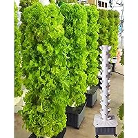 15 Floors 45 Holes Hydroponics Tower Set Hydroponic Growing System, Hydroponic Growing Kit, Vegetable Plant Tower Gift for Gardening Lover for Home Kitchen Gardening