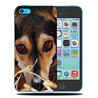 Adorable Cute Puppy Dog Canine 47 Phone CASE Cover for Apple iPhone 5C