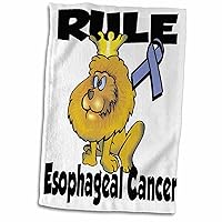 3dRose Rule Esophageal Cancer Awareness Ribbon Cause Design - Towels (twl-116040-1)