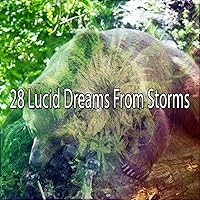 28 Lucid Dreams from Storms 28 Lucid Dreams from Storms MP3 Music