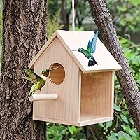 Bird House for Outside, Outdoor Wooden Birdhouse with Transparent Acrylic Window, Bird Nest Box with Pole for Garden Patio, Hanging Birdhouse for Sparrow Hummingbird Finch 5.7 × 5.7 × 8.7 Inches