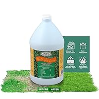 Medina HastaGro Commercial Liquid Lawn Fertilizer, 12-4-8 All-Type Grass Fertilizer for Lawn, Lawn Sprayer Compatible, Advanced Lawn Food for Grass Concentrate for Lush Green Growth (1 Gallon)