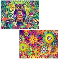 Ginfonr 5D DIY Diamond Painting by Number Kits Colorful Owl & Mandala Flower Full Drill, Kaleidoscope Paint with Diamonds Art Animal Rhinestone Cross Stitch Craft Decor (12x16 inch, 2 Pack)
