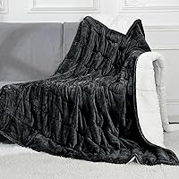 Alomidds Weighted Blanket (60