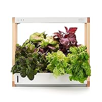 Rise Gardens Personal Hydroponic Indoor Garden Kit with LED Grow Light, Countertop Size
