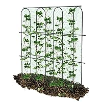 Cucumber Trellis for Garden 6ft Tall with Nylon Netting, Metal Garden Arch for Climbing Plants Outdoor Support Vegetable Vine Beans Peas A-Frame for Raised Bed