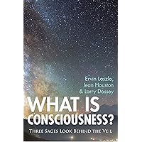 What is Consciousness?: Three Sages Look Behind the Veil (A New Paradigm Book) What is Consciousness?: Three Sages Look Behind the Veil (A New Paradigm Book) Kindle Hardcover