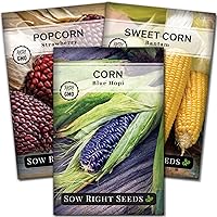 Sow Right Seeds - Rare Corn Seed Collection for Planting - Strawberry Popcorn, Blue Hopi and White Hickory King Varieties - Non-GMO Heirloom Packets with Instructions to Plant a Home Vegetable Garden