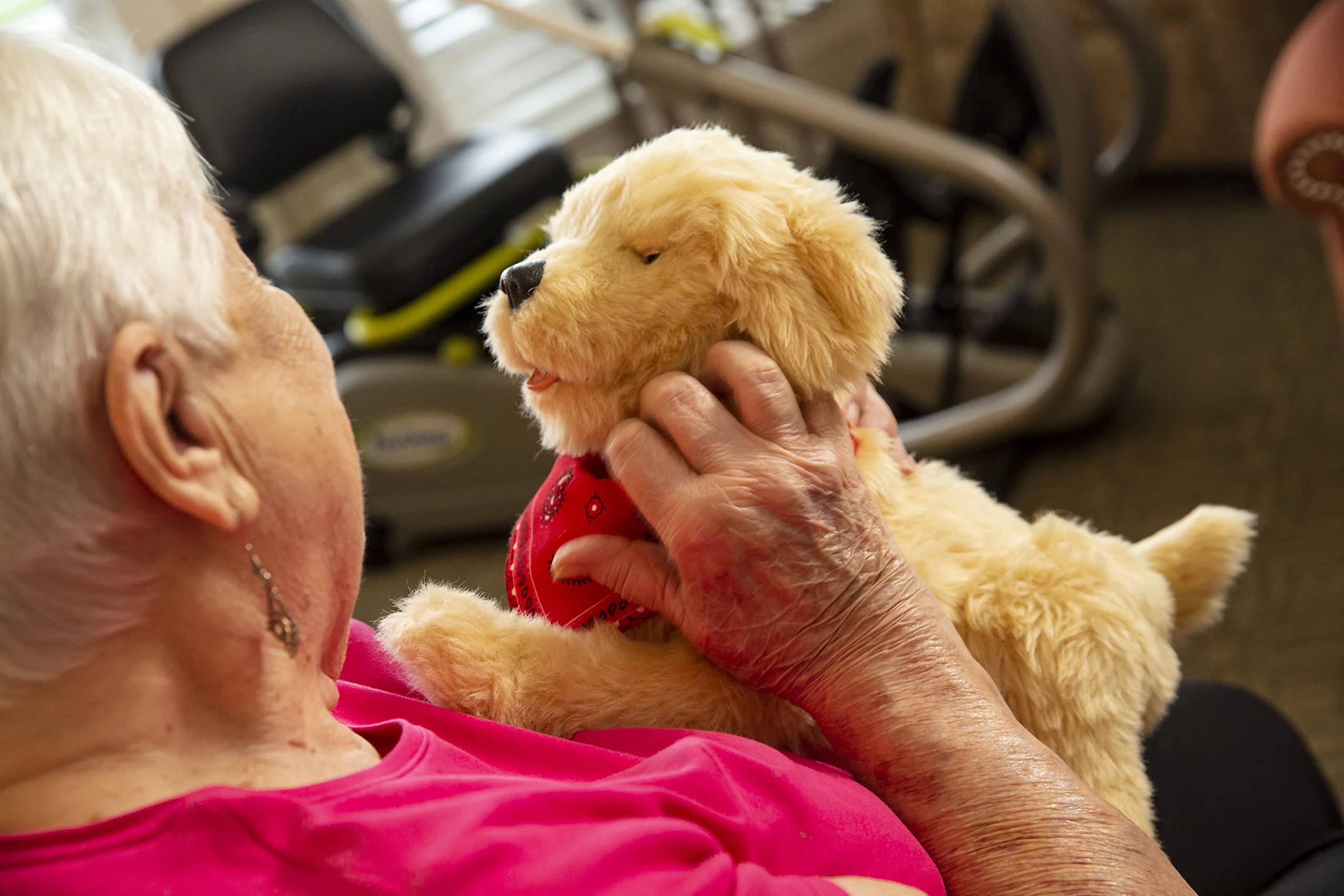 JOY FOR ALL Ageless Innovation Companion Pets Golden Pup Lifelike & Realistic