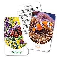 The Learning Journey Discovery Cards - Out & About - Toddler Toys & Gifts for Boys & Girls Ages 2 Years and Up - Mind Building Educational Learning Tool, Multi
