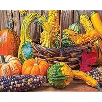 Springbok's 1000 Piece Jigsaw Puzzle Harvest Colors