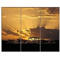 PT12939-36-28-3P Sunset in Africa with Acacia Tree-Extra Large Landscape Canvas Art, 36x28-3 Panels