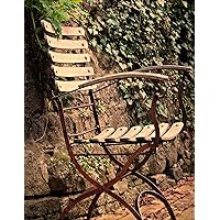 Notebook: Chair seating furniture outdoor out ivy fern garden design gardening outdoor relaxing relax peace