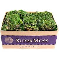 SuperMoss (21538) Mood Moss Preserved, Fresh Green, 3 Pounds