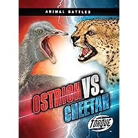Ostrich vs. Cheetah (Animal Battles) Ostrich vs. Cheetah (Animal Battles) Paperback Library Binding