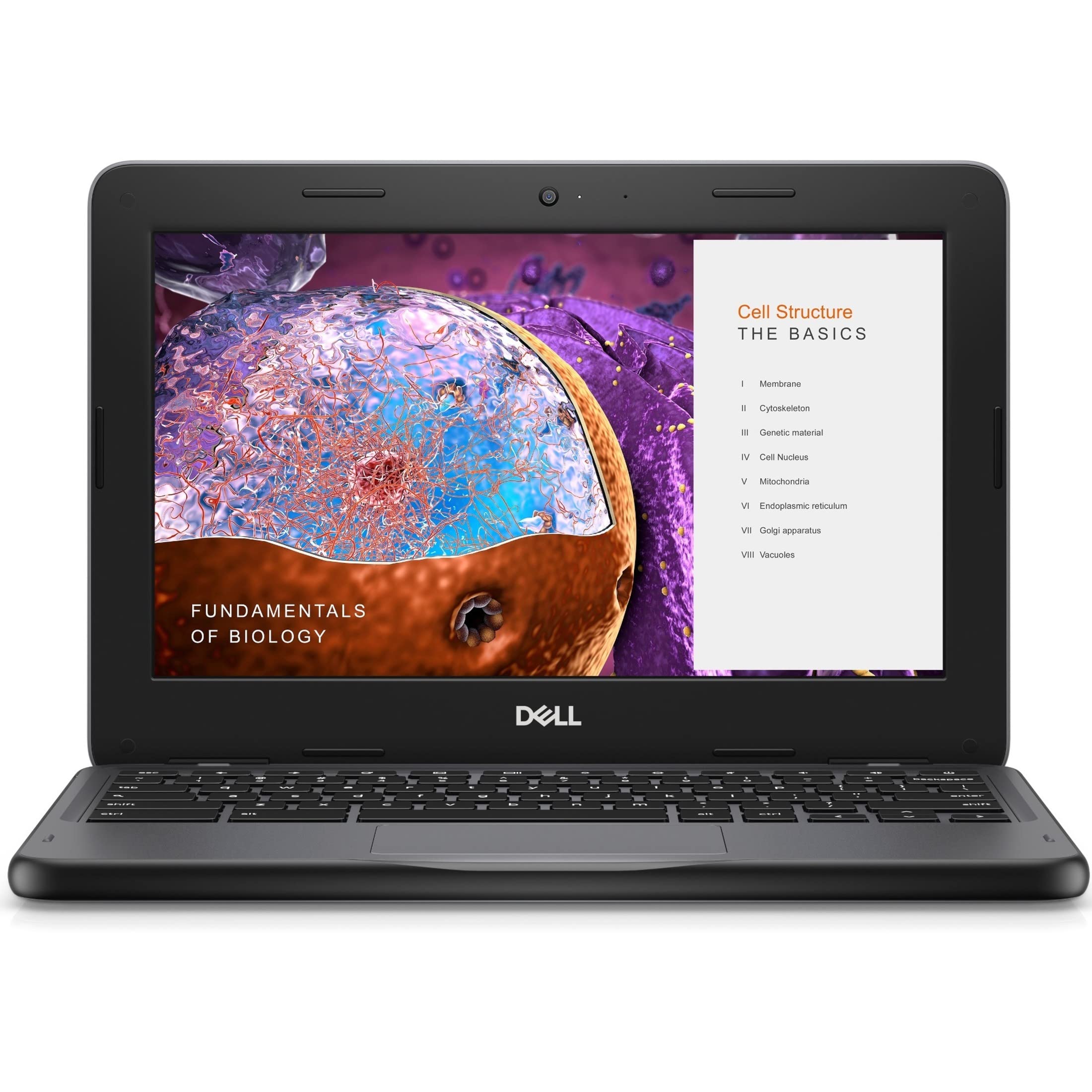 Dell Education Chromebook 3000 3110 11.6