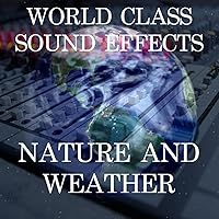 Wind Thru Leaves Branches Weather Sound Effects Sound Effect Sounds EFX Sfx FX Nature and Weather Weather - Wind [Clean]