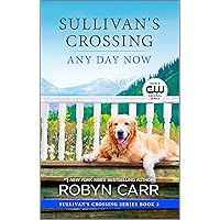 Any Day Now: A Novel (Sullivan's Crossing Book 2)