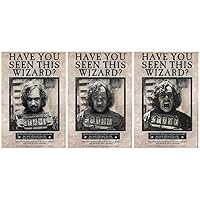 Amscan Harry Potter Sirius Black Lenticular Poster - 18