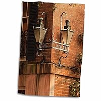 3dRose USA, Georgia, Savannah, House in The Historic District. - Towels (twl-230563-1)