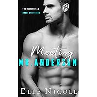 Meeting Mr Anderson (The Men Series - Interconnected Standalone Romances Book 1)