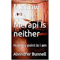 Meanw hile Merapi is neither: Now my point is I am (Dutch Edition)