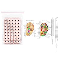 Uloveido Ear Seeds Auricular Sticker Kit, Acupuncture Kit Acupressure with Ears Seed, Ear Chart, Tweezer, Auricular Probing Pen (800 Pairs)