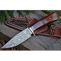 Handmade Damascus Hunting Knife - Bushcraft Fixed Blade Hunting Knife with Sheath and Walnut Wood Handle - 10″ EDC Skinning Knife - Cougar Hunter