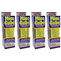 Mice Cube Reusable Humane Mouse Trap 4 Pack