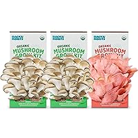 Back to the Roots Organic Mushroom Grow Kit 3-Pack: Oyster, Oyster & Pink-Harvest Gourmet Mushroom in Just 10 Days