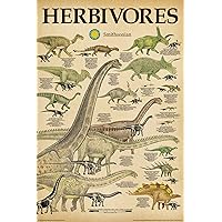 Smithsonian Herbivores Dinosaurs 36x24 Educational Art Print Poster, Multicolored