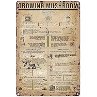 Growing Mushroom Knowledge Metal Tin Signs Growing Mushroom Infographics Reading Posters Farmers Guide Retro Plaques Farm Farmhouse Patio Wall Decor 8x12 Inches