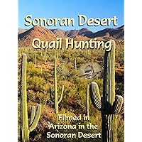Sonoran Desert Quail Hunting